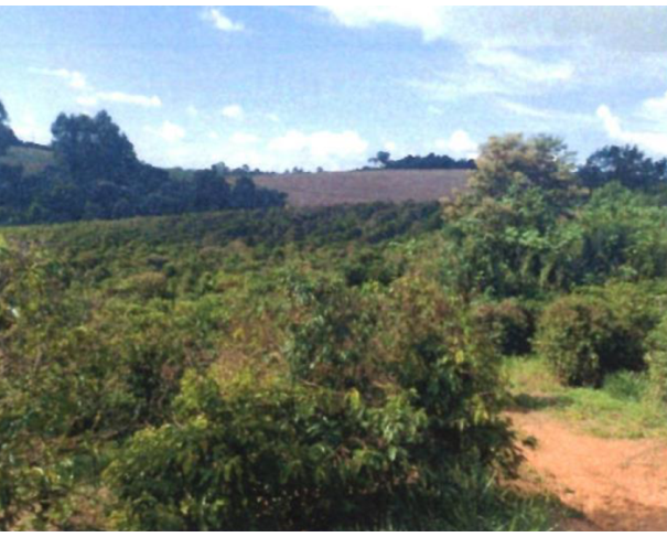 Foto de Imóvel Rural com 41 ha - Jacuí - MG - Faz. Joaquina Gomes