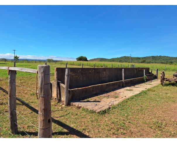 Foto de Área Rural - Francisco Sá - MG