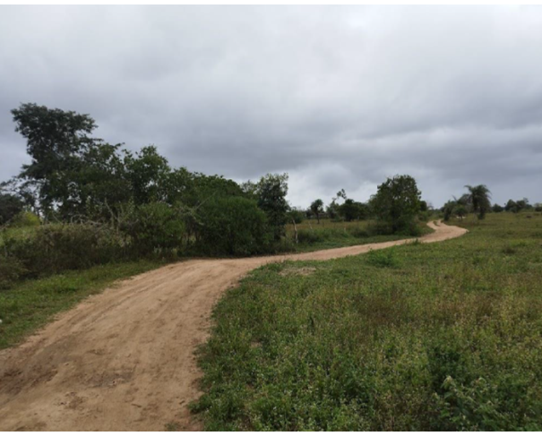 Foto de Lote 2 - Feira de Santana - BA - Faz. Rio da Prata - Área de 10ha