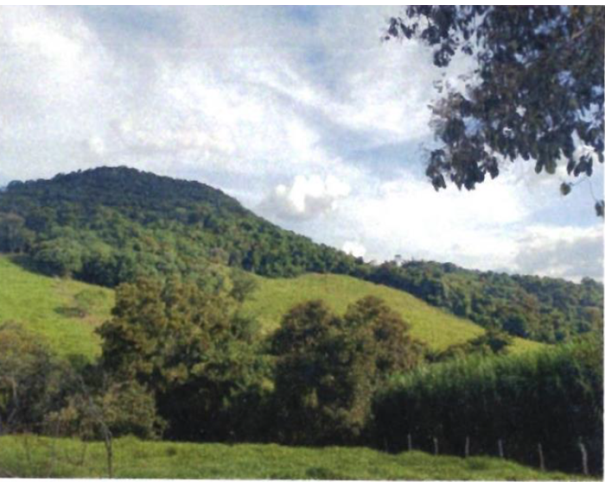 Foto de Imóvel Rural com 41 ha - Jacuí - MG - Faz. Joaquina Gomes