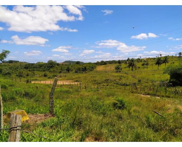 Foto de Lote 17 - Candeias - BA - Madeira - Terreno Urbano