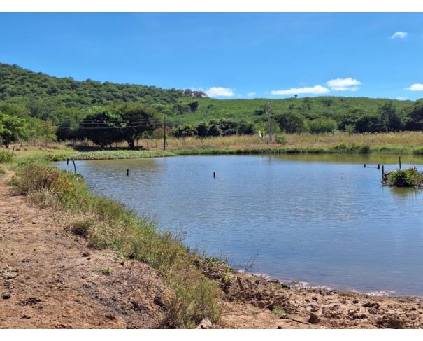 Foto de Área Rural - Francisco Sá - MG