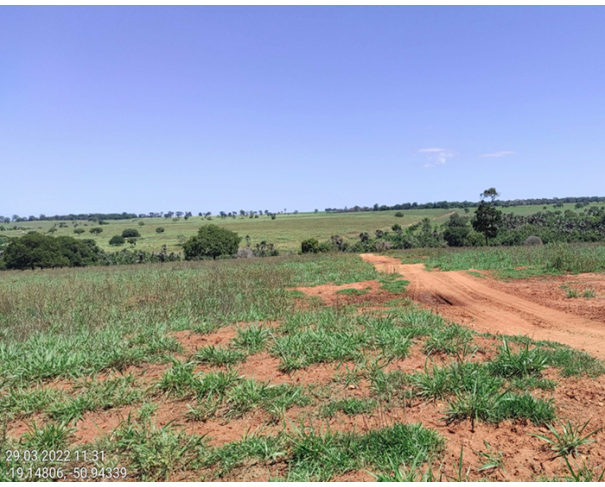 Foto de Lote 7 - Itarumã - GO - Imóvel Rural - Fazenda