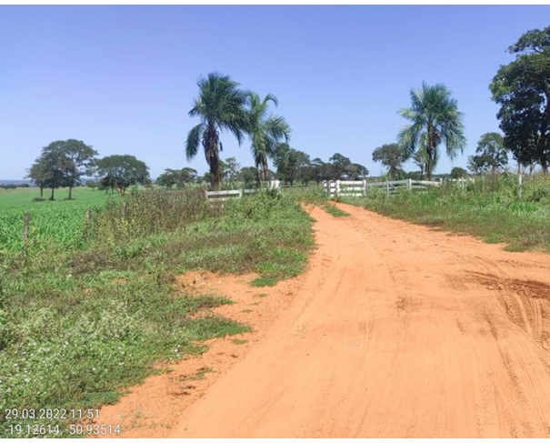 Foto de Lote 7 - Itarumã - GO - Imóvel Rural - Fazenda