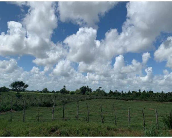 Foto de Lote 2 - Feira de Santana - BA - Faz. Rio da Prata - Área de 10ha